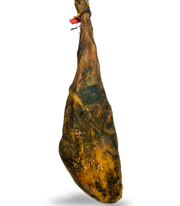 Presunto porco preto bolota